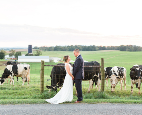 Wedding Venue On Sunny Slope Farm near Harrisonburg, Virginia