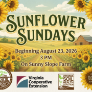 Sunflower Sunday: A Celebration of Soil Health