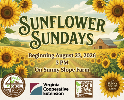 Sunflower Sunday: A Celebration of Soil Health