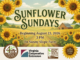Sunflower Sunday: A Celebration of Soil Health