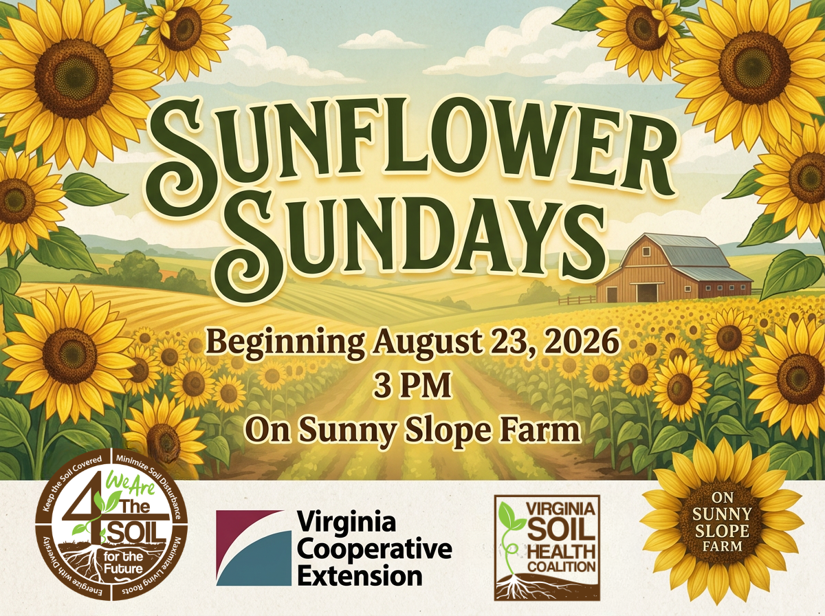 Sunflower Sunday: A Celebration of Soil Health